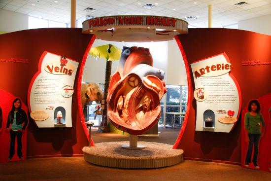 Halle Heart Çocuk Müzesi